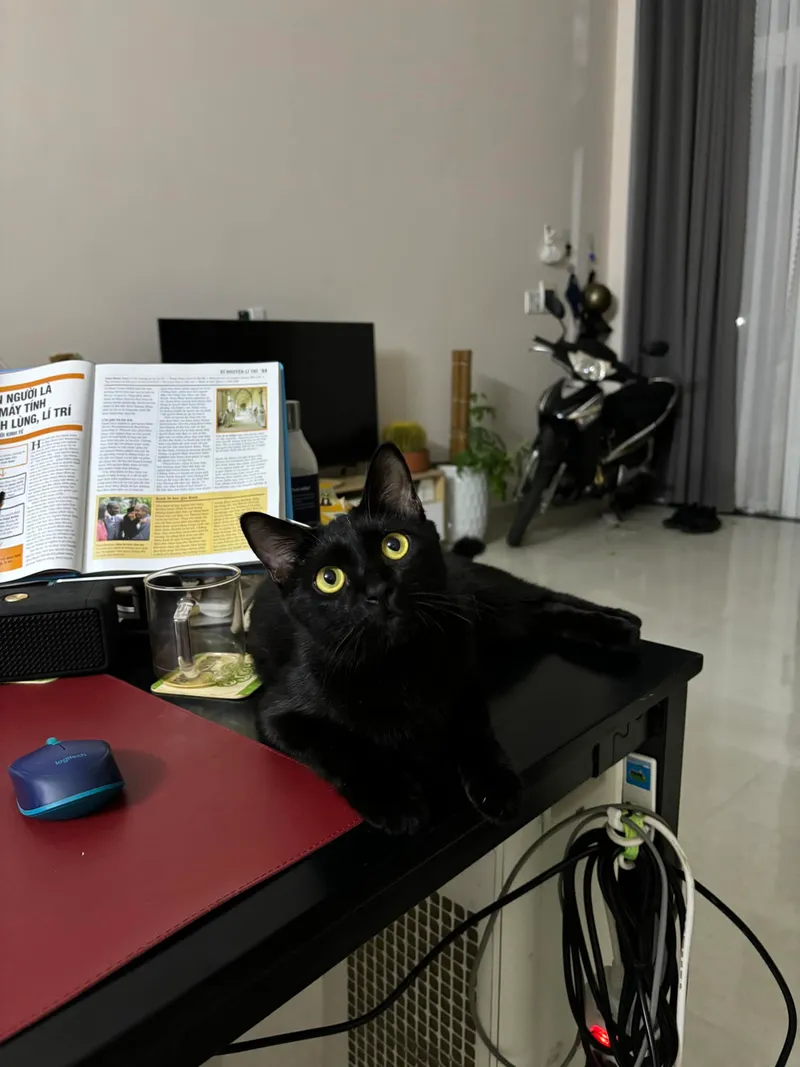 He Itches to Write Again